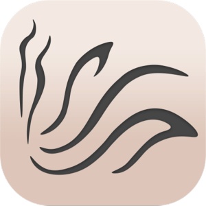 传奇今生官方 icon