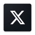 X icon