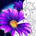 Zen Color icon