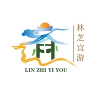 林芝宜游 wechatShareImg