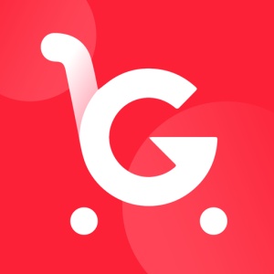 格力董明珠店 icon