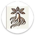 AI中医旺旺 wechatShareImg