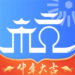 杭州城市大脑 icon