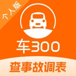 车300的图标
