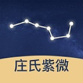 庄氏紫微 icon