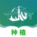 糯米蕉种植 icon