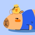 咔皮记账 icon