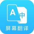 Screen Translate icon