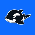 网鱼 icon