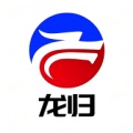 龙归 icon