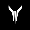 岚图汽车 icon
