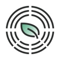 问春风的圖標